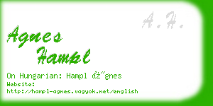 agnes hampl business card